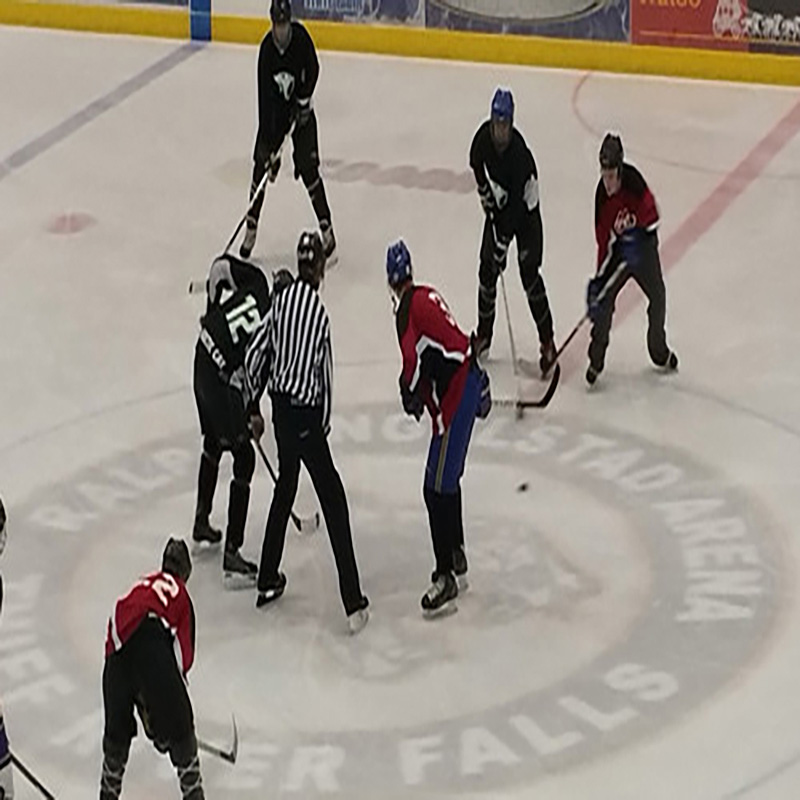 Портативная хоккейная доска Dasher