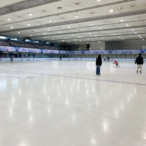 Выстрел в хоккей